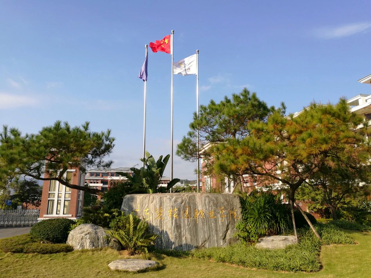 微信图片_20250723111937