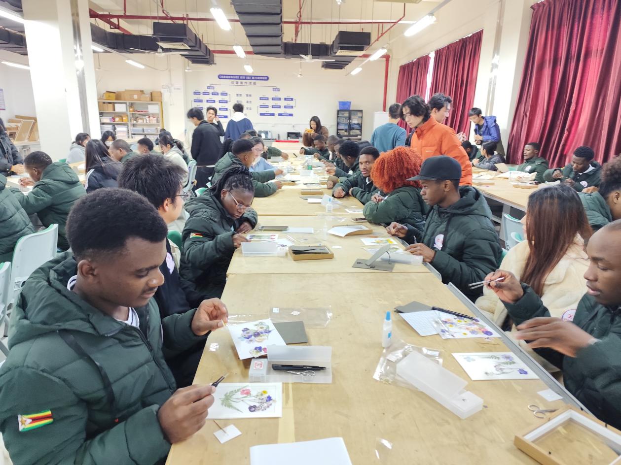 b5e01128d2b688fb8d675b801e04ad2b